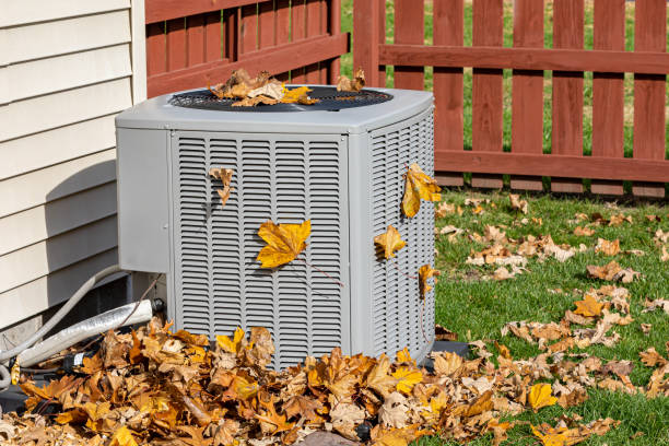 Best HVAC service technicians  in Wren, AR